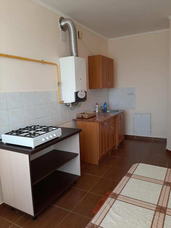 Apartment On Lermontova 35A Munkács Kültér fotó